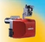 GAS BURNERS LOW NOx