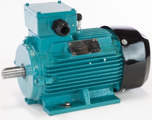 Asynchronous three-phase and brake motors